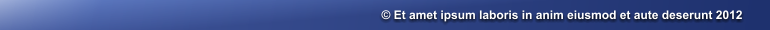 � Et amet ipsum laboris in anim eiusmod et aute deserunt 2012